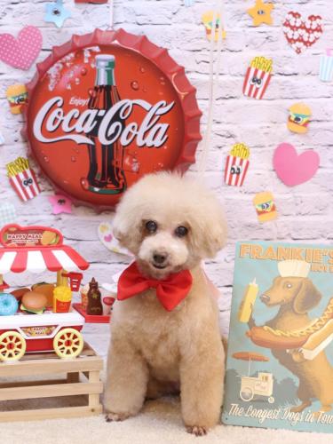 20230909HONEYちゃん